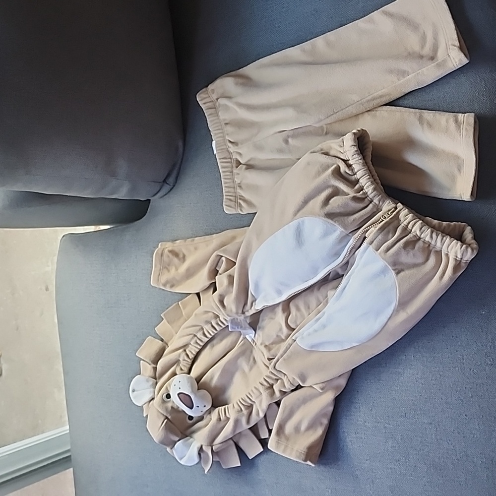 Baby Carter's Little Lion Halloween Costume 18M